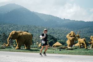 BIB: 
                            <button type="button" onclick="openModal(25950156)" class="btn btn-primary btn-sm float-right btn-popup" data-toggle="modal" data-target=".modal-high-quality">
                        <i class="fas fa-shopping-cart"></i> Add to Cart
                    </button>
                                            <button type="button" onclick="isThisMe(25950156, true)" class="btn btn-success btn-sm float-right btn-popup btn-isme hidden" data-toggle="tooltip" data-placement="bottom" title="นี่คือรูปของคุณใช่ไหม คลิกที่นี่เพื่อเอาเข้าอัลบั้ม">
                        <i class="fas fa-plus"></i> Add to album
                    </button>
                    <button type="button" onclick="isThisMe(25950156, false)" class="btn btn-warning btn-sm float-right btn-popup btn-isnotme hidden">
                        <i class="fas fa-ban"></i> Remove from album
                    </button>