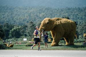 BIB: 
                            <button type="button" onclick="openModal(25956062)" class="btn btn-primary btn-sm float-right btn-popup" data-toggle="modal" data-target=".modal-high-quality">
                        <i class="fas fa-shopping-cart"></i> Add to Cart
                    </button>
                                            <button type="button" onclick="isThisMe(25956062, true)" class="btn btn-success btn-sm float-right btn-popup btn-isme hidden" data-toggle="tooltip" data-placement="bottom" title="นี่คือรูปของคุณใช่ไหม คลิกที่นี่เพื่อเอาเข้าอัลบั้ม">
                        <i class="fas fa-plus"></i> Add to album
                    </button>
                    <button type="button" onclick="isThisMe(25956062, false)" class="btn btn-warning btn-sm float-right btn-popup btn-isnotme hidden">
                        <i class="fas fa-ban"></i> Remove from album
                    </button>