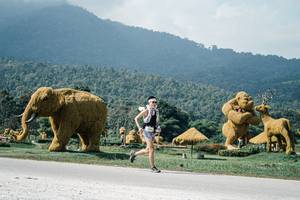 BIB: 
                            <button type="button" onclick="openModal(25935741)" class="btn btn-primary btn-sm float-right btn-popup" data-toggle="modal" data-target=".modal-high-quality">
                        <i class="fas fa-shopping-cart"></i> Add to Cart
                    </button>
                                            <button type="button" onclick="isThisMe(25935741, true)" class="btn btn-success btn-sm float-right btn-popup btn-isme hidden" data-toggle="tooltip" data-placement="bottom" title="นี่คือรูปของคุณใช่ไหม คลิกที่นี่เพื่อเอาเข้าอัลบั้ม">
                        <i class="fas fa-plus"></i> Add to album
                    </button>
                    <button type="button" onclick="isThisMe(25935741, false)" class="btn btn-warning btn-sm float-right btn-popup btn-isnotme hidden">
                        <i class="fas fa-ban"></i> Remove from album
                    </button>