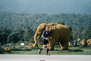 BIB: 
                            <button type="button" onclick="openModal(25905586)" class="btn btn-primary btn-sm float-right btn-popup" data-toggle="modal" data-target=".modal-high-quality">
                        <i class="fas fa-shopping-cart"></i> Add to Cart
                    </button>
                                            <button type="button" onclick="isThisMe(25905586, true)" class="btn btn-success btn-sm float-right btn-popup btn-isme hidden" data-toggle="tooltip" data-placement="bottom" title="นี่คือรูปของคุณใช่ไหม คลิกที่นี่เพื่อเอาเข้าอัลบั้ม">
                        <i class="fas fa-plus"></i> Add to album
                    </button>
                    <button type="button" onclick="isThisMe(25905586, false)" class="btn btn-warning btn-sm float-right btn-popup btn-isnotme hidden">
                        <i class="fas fa-ban"></i> Remove from album
                    </button>