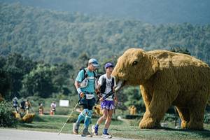 BIB: 
                            <button type="button" onclick="openModal(25932448)" class="btn btn-primary btn-sm float-right btn-popup" data-toggle="modal" data-target=".modal-high-quality">
                        <i class="fas fa-shopping-cart"></i> Add to Cart
                    </button>
                                            <button type="button" onclick="isThisMe(25932448, true)" class="btn btn-success btn-sm float-right btn-popup btn-isme hidden" data-toggle="tooltip" data-placement="bottom" title="นี่คือรูปของคุณใช่ไหม คลิกที่นี่เพื่อเอาเข้าอัลบั้ม">
                        <i class="fas fa-plus"></i> Add to album
                    </button>
                    <button type="button" onclick="isThisMe(25932448, false)" class="btn btn-warning btn-sm float-right btn-popup btn-isnotme hidden">
                        <i class="fas fa-ban"></i> Remove from album
                    </button>