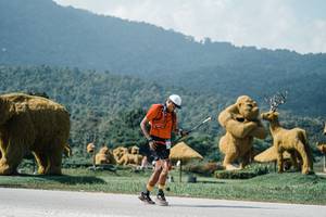 BIB: 
                            <button type="button" onclick="openModal(25955399)" class="btn btn-primary btn-sm float-right btn-popup" data-toggle="modal" data-target=".modal-high-quality">
                        <i class="fas fa-shopping-cart"></i> Add to Cart
                    </button>
                                            <button type="button" onclick="isThisMe(25955399, true)" class="btn btn-success btn-sm float-right btn-popup btn-isme hidden" data-toggle="tooltip" data-placement="bottom" title="นี่คือรูปของคุณใช่ไหม คลิกที่นี่เพื่อเอาเข้าอัลบั้ม">
                        <i class="fas fa-plus"></i> Add to album
                    </button>
                    <button type="button" onclick="isThisMe(25955399, false)" class="btn btn-warning btn-sm float-right btn-popup btn-isnotme hidden">
                        <i class="fas fa-ban"></i> Remove from album
                    </button>