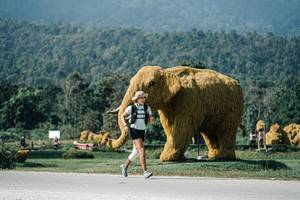 BIB: 
                            <button type="button" onclick="openModal(25888183)" class="btn btn-primary btn-sm float-right btn-popup" data-toggle="modal" data-target=".modal-high-quality">
                        <i class="fas fa-shopping-cart"></i> Add to Cart
                    </button>
                                            <button type="button" onclick="isThisMe(25888183, true)" class="btn btn-success btn-sm float-right btn-popup btn-isme hidden" data-toggle="tooltip" data-placement="bottom" title="นี่คือรูปของคุณใช่ไหม คลิกที่นี่เพื่อเอาเข้าอัลบั้ม">
                        <i class="fas fa-plus"></i> Add to album
                    </button>
                    <button type="button" onclick="isThisMe(25888183, false)" class="btn btn-warning btn-sm float-right btn-popup btn-isnotme hidden">
                        <i class="fas fa-ban"></i> Remove from album
                    </button>