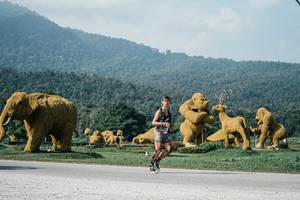 BIB: 
                            <button type="button" onclick="openModal(25873536)" class="btn btn-primary btn-sm float-right btn-popup" data-toggle="modal" data-target=".modal-high-quality">
                        <i class="fas fa-shopping-cart"></i> Add to Cart
                    </button>
                                            <button type="button" onclick="isThisMe(25873536, true)" class="btn btn-success btn-sm float-right btn-popup btn-isme hidden" data-toggle="tooltip" data-placement="bottom" title="นี่คือรูปของคุณใช่ไหม คลิกที่นี่เพื่อเอาเข้าอัลบั้ม">
                        <i class="fas fa-plus"></i> Add to album
                    </button>
                    <button type="button" onclick="isThisMe(25873536, false)" class="btn btn-warning btn-sm float-right btn-popup btn-isnotme hidden">
                        <i class="fas fa-ban"></i> Remove from album
                    </button>