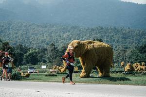 BIB: 
                            <button type="button" onclick="openModal(25954303)" class="btn btn-primary btn-sm float-right btn-popup" data-toggle="modal" data-target=".modal-high-quality">
                        <i class="fas fa-shopping-cart"></i> Add to Cart
                    </button>
                                            <button type="button" onclick="isThisMe(25954303, true)" class="btn btn-success btn-sm float-right btn-popup btn-isme hidden" data-toggle="tooltip" data-placement="bottom" title="นี่คือรูปของคุณใช่ไหม คลิกที่นี่เพื่อเอาเข้าอัลบั้ม">
                        <i class="fas fa-plus"></i> Add to album
                    </button>
                    <button type="button" onclick="isThisMe(25954303, false)" class="btn btn-warning btn-sm float-right btn-popup btn-isnotme hidden">
                        <i class="fas fa-ban"></i> Remove from album
                    </button>