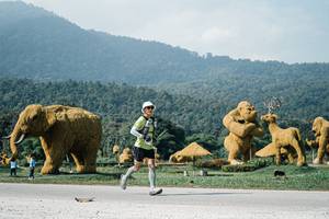 BIB: 
                            <button type="button" onclick="openModal(25890283)" class="btn btn-primary btn-sm float-right btn-popup" data-toggle="modal" data-target=".modal-high-quality">
                        <i class="fas fa-shopping-cart"></i> Add to Cart
                    </button>
                                            <button type="button" onclick="isThisMe(25890283, true)" class="btn btn-success btn-sm float-right btn-popup btn-isme hidden" data-toggle="tooltip" data-placement="bottom" title="นี่คือรูปของคุณใช่ไหม คลิกที่นี่เพื่อเอาเข้าอัลบั้ม">
                        <i class="fas fa-plus"></i> Add to album
                    </button>
                    <button type="button" onclick="isThisMe(25890283, false)" class="btn btn-warning btn-sm float-right btn-popup btn-isnotme hidden">
                        <i class="fas fa-ban"></i> Remove from album
                    </button>