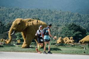 BIB: 
                            <button type="button" onclick="openModal(25934325)" class="btn btn-primary btn-sm float-right btn-popup" data-toggle="modal" data-target=".modal-high-quality">
                        <i class="fas fa-shopping-cart"></i> Add to Cart
                    </button>
                                            <button type="button" onclick="isThisMe(25934325, true)" class="btn btn-success btn-sm float-right btn-popup btn-isme hidden" data-toggle="tooltip" data-placement="bottom" title="นี่คือรูปของคุณใช่ไหม คลิกที่นี่เพื่อเอาเข้าอัลบั้ม">
                        <i class="fas fa-plus"></i> Add to album
                    </button>
                    <button type="button" onclick="isThisMe(25934325, false)" class="btn btn-warning btn-sm float-right btn-popup btn-isnotme hidden">
                        <i class="fas fa-ban"></i> Remove from album
                    </button>