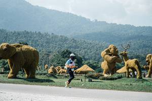 BIB: 
                            <button type="button" onclick="openModal(25981778)" class="btn btn-primary btn-sm float-right btn-popup" data-toggle="modal" data-target=".modal-high-quality">
                        <i class="fas fa-shopping-cart"></i> Add to Cart
                    </button>
                                            <button type="button" onclick="isThisMe(25981778, true)" class="btn btn-success btn-sm float-right btn-popup btn-isme hidden" data-toggle="tooltip" data-placement="bottom" title="นี่คือรูปของคุณใช่ไหม คลิกที่นี่เพื่อเอาเข้าอัลบั้ม">
                        <i class="fas fa-plus"></i> Add to album
                    </button>
                    <button type="button" onclick="isThisMe(25981778, false)" class="btn btn-warning btn-sm float-right btn-popup btn-isnotme hidden">
                        <i class="fas fa-ban"></i> Remove from album
                    </button>