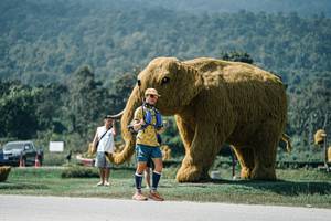 BIB: 
                            <button type="button" onclick="openModal(25956773)" class="btn btn-primary btn-sm float-right btn-popup" data-toggle="modal" data-target=".modal-high-quality">
                        <i class="fas fa-shopping-cart"></i> Add to Cart
                    </button>
                                            <button type="button" onclick="isThisMe(25956773, true)" class="btn btn-success btn-sm float-right btn-popup btn-isme hidden" data-toggle="tooltip" data-placement="bottom" title="นี่คือรูปของคุณใช่ไหม คลิกที่นี่เพื่อเอาเข้าอัลบั้ม">
                        <i class="fas fa-plus"></i> Add to album
                    </button>
                    <button type="button" onclick="isThisMe(25956773, false)" class="btn btn-warning btn-sm float-right btn-popup btn-isnotme hidden">
                        <i class="fas fa-ban"></i> Remove from album
                    </button>