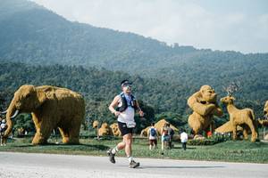 BIB: 
                            <button type="button" onclick="openModal(25884468)" class="btn btn-primary btn-sm float-right btn-popup" data-toggle="modal" data-target=".modal-high-quality">
                        <i class="fas fa-shopping-cart"></i> Add to Cart
                    </button>
                                            <button type="button" onclick="isThisMe(25884468, true)" class="btn btn-success btn-sm float-right btn-popup btn-isme hidden" data-toggle="tooltip" data-placement="bottom" title="นี่คือรูปของคุณใช่ไหม คลิกที่นี่เพื่อเอาเข้าอัลบั้ม">
                        <i class="fas fa-plus"></i> Add to album
                    </button>
                    <button type="button" onclick="isThisMe(25884468, false)" class="btn btn-warning btn-sm float-right btn-popup btn-isnotme hidden">
                        <i class="fas fa-ban"></i> Remove from album
                    </button>