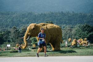 BIB: 
                            <button type="button" onclick="openModal(25941329)" class="btn btn-primary btn-sm float-right btn-popup" data-toggle="modal" data-target=".modal-high-quality">
                        <i class="fas fa-shopping-cart"></i> Add to Cart
                    </button>
                                            <button type="button" onclick="isThisMe(25941329, true)" class="btn btn-success btn-sm float-right btn-popup btn-isme hidden" data-toggle="tooltip" data-placement="bottom" title="นี่คือรูปของคุณใช่ไหม คลิกที่นี่เพื่อเอาเข้าอัลบั้ม">
                        <i class="fas fa-plus"></i> Add to album
                    </button>
                    <button type="button" onclick="isThisMe(25941329, false)" class="btn btn-warning btn-sm float-right btn-popup btn-isnotme hidden">
                        <i class="fas fa-ban"></i> Remove from album
                    </button>