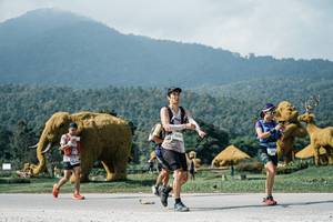 BIB: 
                            <button type="button" onclick="openModal(25910067)" class="btn btn-primary btn-sm float-right btn-popup" data-toggle="modal" data-target=".modal-high-quality">
                        <i class="fas fa-shopping-cart"></i> Add to Cart
                    </button>
                                            <button type="button" onclick="isThisMe(25910067, true)" class="btn btn-success btn-sm float-right btn-popup btn-isme hidden" data-toggle="tooltip" data-placement="bottom" title="นี่คือรูปของคุณใช่ไหม คลิกที่นี่เพื่อเอาเข้าอัลบั้ม">
                        <i class="fas fa-plus"></i> Add to album
                    </button>
                    <button type="button" onclick="isThisMe(25910067, false)" class="btn btn-warning btn-sm float-right btn-popup btn-isnotme hidden">
                        <i class="fas fa-ban"></i> Remove from album
                    </button>