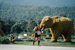 BIB: 
                            <button type="button" onclick="openModal(25919505)" class="btn btn-primary btn-sm float-right btn-popup" data-toggle="modal" data-target=".modal-high-quality">
                        <i class="fas fa-shopping-cart"></i> Add to Cart
                    </button>
                                            <button type="button" onclick="isThisMe(25919505, true)" class="btn btn-success btn-sm float-right btn-popup btn-isme hidden" data-toggle="tooltip" data-placement="bottom" title="นี่คือรูปของคุณใช่ไหม คลิกที่นี่เพื่อเอาเข้าอัลบั้ม">
                        <i class="fas fa-plus"></i> Add to album
                    </button>
                    <button type="button" onclick="isThisMe(25919505, false)" class="btn btn-warning btn-sm float-right btn-popup btn-isnotme hidden">
                        <i class="fas fa-ban"></i> Remove from album
                    </button>