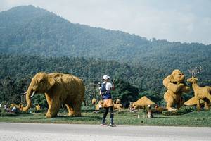 BIB: 
                            <button type="button" onclick="openModal(25871688)" class="btn btn-primary btn-sm float-right btn-popup" data-toggle="modal" data-target=".modal-high-quality">
                        <i class="fas fa-shopping-cart"></i> Add to Cart
                    </button>
                                            <button type="button" onclick="isThisMe(25871688, true)" class="btn btn-success btn-sm float-right btn-popup btn-isme hidden" data-toggle="tooltip" data-placement="bottom" title="นี่คือรูปของคุณใช่ไหม คลิกที่นี่เพื่อเอาเข้าอัลบั้ม">
                        <i class="fas fa-plus"></i> Add to album
                    </button>
                    <button type="button" onclick="isThisMe(25871688, false)" class="btn btn-warning btn-sm float-right btn-popup btn-isnotme hidden">
                        <i class="fas fa-ban"></i> Remove from album
                    </button>