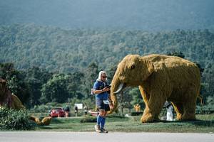 BIB: 
                            <button type="button" onclick="openModal(25931090)" class="btn btn-primary btn-sm float-right btn-popup" data-toggle="modal" data-target=".modal-high-quality">
                        <i class="fas fa-shopping-cart"></i> Add to Cart
                    </button>
                                            <button type="button" onclick="isThisMe(25931090, true)" class="btn btn-success btn-sm float-right btn-popup btn-isme hidden" data-toggle="tooltip" data-placement="bottom" title="นี่คือรูปของคุณใช่ไหม คลิกที่นี่เพื่อเอาเข้าอัลบั้ม">
                        <i class="fas fa-plus"></i> Add to album
                    </button>
                    <button type="button" onclick="isThisMe(25931090, false)" class="btn btn-warning btn-sm float-right btn-popup btn-isnotme hidden">
                        <i class="fas fa-ban"></i> Remove from album
                    </button>