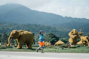 BIB: 
                            <button type="button" onclick="openModal(25941773)" class="btn btn-primary btn-sm float-right btn-popup" data-toggle="modal" data-target=".modal-high-quality">
                        <i class="fas fa-shopping-cart"></i> Add to Cart
                    </button>
                                            <button type="button" onclick="isThisMe(25941773, true)" class="btn btn-success btn-sm float-right btn-popup btn-isme hidden" data-toggle="tooltip" data-placement="bottom" title="นี่คือรูปของคุณใช่ไหม คลิกที่นี่เพื่อเอาเข้าอัลบั้ม">
                        <i class="fas fa-plus"></i> Add to album
                    </button>
                    <button type="button" onclick="isThisMe(25941773, false)" class="btn btn-warning btn-sm float-right btn-popup btn-isnotme hidden">
                        <i class="fas fa-ban"></i> Remove from album
                    </button>