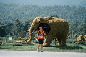 BIB: 
                            <button type="button" onclick="openModal(25980454)" class="btn btn-primary btn-sm float-right btn-popup" data-toggle="modal" data-target=".modal-high-quality">
                        <i class="fas fa-shopping-cart"></i> Add to Cart
                    </button>
                                            <button type="button" onclick="isThisMe(25980454, true)" class="btn btn-success btn-sm float-right btn-popup btn-isme hidden" data-toggle="tooltip" data-placement="bottom" title="นี่คือรูปของคุณใช่ไหม คลิกที่นี่เพื่อเอาเข้าอัลบั้ม">
                        <i class="fas fa-plus"></i> Add to album
                    </button>
                    <button type="button" onclick="isThisMe(25980454, false)" class="btn btn-warning btn-sm float-right btn-popup btn-isnotme hidden">
                        <i class="fas fa-ban"></i> Remove from album
                    </button>