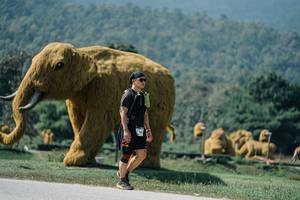 BIB: 
                            <button type="button" onclick="openModal(25961592)" class="btn btn-primary btn-sm float-right btn-popup" data-toggle="modal" data-target=".modal-high-quality">
                        <i class="fas fa-shopping-cart"></i> Add to Cart
                    </button>
                                            <button type="button" onclick="isThisMe(25961592, true)" class="btn btn-success btn-sm float-right btn-popup btn-isme hidden" data-toggle="tooltip" data-placement="bottom" title="นี่คือรูปของคุณใช่ไหม คลิกที่นี่เพื่อเอาเข้าอัลบั้ม">
                        <i class="fas fa-plus"></i> Add to album
                    </button>
                    <button type="button" onclick="isThisMe(25961592, false)" class="btn btn-warning btn-sm float-right btn-popup btn-isnotme hidden">
                        <i class="fas fa-ban"></i> Remove from album
                    </button>