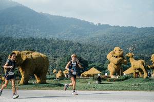 BIB: 
                            <button type="button" onclick="openModal(25876665)" class="btn btn-primary btn-sm float-right btn-popup" data-toggle="modal" data-target=".modal-high-quality">
                        <i class="fas fa-shopping-cart"></i> Add to Cart
                    </button>
                                            <button type="button" onclick="isThisMe(25876665, true)" class="btn btn-success btn-sm float-right btn-popup btn-isme hidden" data-toggle="tooltip" data-placement="bottom" title="นี่คือรูปของคุณใช่ไหม คลิกที่นี่เพื่อเอาเข้าอัลบั้ม">
                        <i class="fas fa-plus"></i> Add to album
                    </button>
                    <button type="button" onclick="isThisMe(25876665, false)" class="btn btn-warning btn-sm float-right btn-popup btn-isnotme hidden">
                        <i class="fas fa-ban"></i> Remove from album
                    </button>