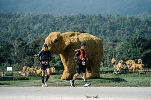 BIB: 
                            <button type="button" onclick="openModal(25888852)" class="btn btn-primary btn-sm float-right btn-popup" data-toggle="modal" data-target=".modal-high-quality">
                        <i class="fas fa-shopping-cart"></i> Add to Cart
                    </button>
                                            <button type="button" onclick="isThisMe(25888852, true)" class="btn btn-success btn-sm float-right btn-popup btn-isme hidden" data-toggle="tooltip" data-placement="bottom" title="นี่คือรูปของคุณใช่ไหม คลิกที่นี่เพื่อเอาเข้าอัลบั้ม">
                        <i class="fas fa-plus"></i> Add to album
                    </button>
                    <button type="button" onclick="isThisMe(25888852, false)" class="btn btn-warning btn-sm float-right btn-popup btn-isnotme hidden">
                        <i class="fas fa-ban"></i> Remove from album
                    </button>