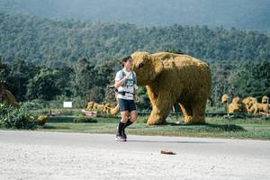 BIB: 
                            <button type="button" onclick="openModal(25900380)" class="btn btn-primary btn-sm float-right btn-popup" data-toggle="modal" data-target=".modal-high-quality">
                        <i class="fas fa-shopping-cart"></i> Add to Cart
                    </button>
                                            <button type="button" onclick="isThisMe(25900380, true)" class="btn btn-success btn-sm float-right btn-popup btn-isme hidden" data-toggle="tooltip" data-placement="bottom" title="นี่คือรูปของคุณใช่ไหม คลิกที่นี่เพื่อเอาเข้าอัลบั้ม">
                        <i class="fas fa-plus"></i> Add to album
                    </button>
                    <button type="button" onclick="isThisMe(25900380, false)" class="btn btn-warning btn-sm float-right btn-popup btn-isnotme hidden">
                        <i class="fas fa-ban"></i> Remove from album
                    </button>