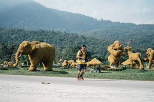 BIB: 
                            <button type="button" onclick="openModal(25893227)" class="btn btn-primary btn-sm float-right btn-popup" data-toggle="modal" data-target=".modal-high-quality">
                        <i class="fas fa-shopping-cart"></i> Add to Cart
                    </button>
                                            <button type="button" onclick="isThisMe(25893227, true)" class="btn btn-success btn-sm float-right btn-popup btn-isme hidden" data-toggle="tooltip" data-placement="bottom" title="นี่คือรูปของคุณใช่ไหม คลิกที่นี่เพื่อเอาเข้าอัลบั้ม">
                        <i class="fas fa-plus"></i> Add to album
                    </button>
                    <button type="button" onclick="isThisMe(25893227, false)" class="btn btn-warning btn-sm float-right btn-popup btn-isnotme hidden">
                        <i class="fas fa-ban"></i> Remove from album
                    </button>