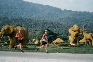 BIB: 
                            <button type="button" onclick="openModal(25870715)" class="btn btn-primary btn-sm float-right btn-popup" data-toggle="modal" data-target=".modal-high-quality">
                        <i class="fas fa-shopping-cart"></i> Add to Cart
                    </button>
                                            <button type="button" onclick="isThisMe(25870715, true)" class="btn btn-success btn-sm float-right btn-popup btn-isme hidden" data-toggle="tooltip" data-placement="bottom" title="นี่คือรูปของคุณใช่ไหม คลิกที่นี่เพื่อเอาเข้าอัลบั้ม">
                        <i class="fas fa-plus"></i> Add to album
                    </button>
                    <button type="button" onclick="isThisMe(25870715, false)" class="btn btn-warning btn-sm float-right btn-popup btn-isnotme hidden">
                        <i class="fas fa-ban"></i> Remove from album
                    </button>