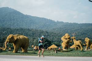 BIB: 
                            <button type="button" onclick="openModal(25871718)" class="btn btn-primary btn-sm float-right btn-popup" data-toggle="modal" data-target=".modal-high-quality">
                        <i class="fas fa-shopping-cart"></i> Add to Cart
                    </button>
                                            <button type="button" onclick="isThisMe(25871718, true)" class="btn btn-success btn-sm float-right btn-popup btn-isme hidden" data-toggle="tooltip" data-placement="bottom" title="นี่คือรูปของคุณใช่ไหม คลิกที่นี่เพื่อเอาเข้าอัลบั้ม">
                        <i class="fas fa-plus"></i> Add to album
                    </button>
                    <button type="button" onclick="isThisMe(25871718, false)" class="btn btn-warning btn-sm float-right btn-popup btn-isnotme hidden">
                        <i class="fas fa-ban"></i> Remove from album
                    </button>