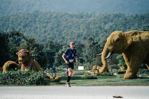 BIB: 
                            <button type="button" onclick="openModal(25905521)" class="btn btn-primary btn-sm float-right btn-popup" data-toggle="modal" data-target=".modal-high-quality">
                        <i class="fas fa-shopping-cart"></i> Add to Cart
                    </button>
                                            <button type="button" onclick="isThisMe(25905521, true)" class="btn btn-success btn-sm float-right btn-popup btn-isme hidden" data-toggle="tooltip" data-placement="bottom" title="นี่คือรูปของคุณใช่ไหม คลิกที่นี่เพื่อเอาเข้าอัลบั้ม">
                        <i class="fas fa-plus"></i> Add to album
                    </button>
                    <button type="button" onclick="isThisMe(25905521, false)" class="btn btn-warning btn-sm float-right btn-popup btn-isnotme hidden">
                        <i class="fas fa-ban"></i> Remove from album
                    </button>