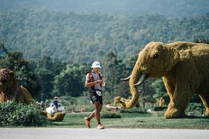 BIB: 
                            <button type="button" onclick="openModal(25955775)" class="btn btn-primary btn-sm float-right btn-popup" data-toggle="modal" data-target=".modal-high-quality">
                        <i class="fas fa-shopping-cart"></i> Add to Cart
                    </button>
                                            <button type="button" onclick="isThisMe(25955775, true)" class="btn btn-success btn-sm float-right btn-popup btn-isme hidden" data-toggle="tooltip" data-placement="bottom" title="นี่คือรูปของคุณใช่ไหม คลิกที่นี่เพื่อเอาเข้าอัลบั้ม">
                        <i class="fas fa-plus"></i> Add to album
                    </button>
                    <button type="button" onclick="isThisMe(25955775, false)" class="btn btn-warning btn-sm float-right btn-popup btn-isnotme hidden">
                        <i class="fas fa-ban"></i> Remove from album
                    </button>