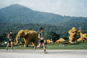 BIB: 
                            <button type="button" onclick="openModal(25870802)" class="btn btn-primary btn-sm float-right btn-popup" data-toggle="modal" data-target=".modal-high-quality">
                        <i class="fas fa-shopping-cart"></i> Add to Cart
                    </button>
                                            <button type="button" onclick="isThisMe(25870802, true)" class="btn btn-success btn-sm float-right btn-popup btn-isme hidden" data-toggle="tooltip" data-placement="bottom" title="นี่คือรูปของคุณใช่ไหม คลิกที่นี่เพื่อเอาเข้าอัลบั้ม">
                        <i class="fas fa-plus"></i> Add to album
                    </button>
                    <button type="button" onclick="isThisMe(25870802, false)" class="btn btn-warning btn-sm float-right btn-popup btn-isnotme hidden">
                        <i class="fas fa-ban"></i> Remove from album
                    </button>