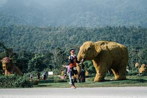 BIB: 
                            <button type="button" onclick="openModal(25882726)" class="btn btn-primary btn-sm float-right btn-popup" data-toggle="modal" data-target=".modal-high-quality">
                        <i class="fas fa-shopping-cart"></i> Add to Cart
                    </button>
                                            <button type="button" onclick="isThisMe(25882726, true)" class="btn btn-success btn-sm float-right btn-popup btn-isme hidden" data-toggle="tooltip" data-placement="bottom" title="นี่คือรูปของคุณใช่ไหม คลิกที่นี่เพื่อเอาเข้าอัลบั้ม">
                        <i class="fas fa-plus"></i> Add to album
                    </button>
                    <button type="button" onclick="isThisMe(25882726, false)" class="btn btn-warning btn-sm float-right btn-popup btn-isnotme hidden">
                        <i class="fas fa-ban"></i> Remove from album
                    </button>