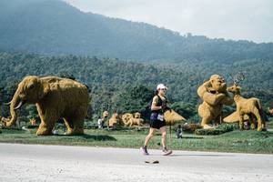 BIB: 
                            <button type="button" onclick="openModal(25915827)" class="btn btn-primary btn-sm float-right btn-popup" data-toggle="modal" data-target=".modal-high-quality">
                        <i class="fas fa-shopping-cart"></i> Add to Cart
                    </button>
                                            <button type="button" onclick="isThisMe(25915827, true)" class="btn btn-success btn-sm float-right btn-popup btn-isme hidden" data-toggle="tooltip" data-placement="bottom" title="นี่คือรูปของคุณใช่ไหม คลิกที่นี่เพื่อเอาเข้าอัลบั้ม">
                        <i class="fas fa-plus"></i> Add to album
                    </button>
                    <button type="button" onclick="isThisMe(25915827, false)" class="btn btn-warning btn-sm float-right btn-popup btn-isnotme hidden">
                        <i class="fas fa-ban"></i> Remove from album
                    </button>