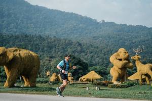 BIB: 
                            <button type="button" onclick="openModal(25870955)" class="btn btn-primary btn-sm float-right btn-popup" data-toggle="modal" data-target=".modal-high-quality">
                        <i class="fas fa-shopping-cart"></i> Add to Cart
                    </button>
                                            <button type="button" onclick="isThisMe(25870955, true)" class="btn btn-success btn-sm float-right btn-popup btn-isme hidden" data-toggle="tooltip" data-placement="bottom" title="นี่คือรูปของคุณใช่ไหม คลิกที่นี่เพื่อเอาเข้าอัลบั้ม">
                        <i class="fas fa-plus"></i> Add to album
                    </button>
                    <button type="button" onclick="isThisMe(25870955, false)" class="btn btn-warning btn-sm float-right btn-popup btn-isnotme hidden">
                        <i class="fas fa-ban"></i> Remove from album
                    </button>