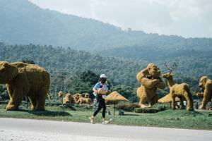 BIB: 
                            <button type="button" onclick="openModal(25982054)" class="btn btn-primary btn-sm float-right btn-popup" data-toggle="modal" data-target=".modal-high-quality">
                        <i class="fas fa-shopping-cart"></i> Add to Cart
                    </button>
                                            <button type="button" onclick="isThisMe(25982054, true)" class="btn btn-success btn-sm float-right btn-popup btn-isme hidden" data-toggle="tooltip" data-placement="bottom" title="นี่คือรูปของคุณใช่ไหม คลิกที่นี่เพื่อเอาเข้าอัลบั้ม">
                        <i class="fas fa-plus"></i> Add to album
                    </button>
                    <button type="button" onclick="isThisMe(25982054, false)" class="btn btn-warning btn-sm float-right btn-popup btn-isnotme hidden">
                        <i class="fas fa-ban"></i> Remove from album
                    </button>