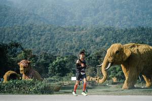 BIB: 
                            <button type="button" onclick="openModal(25871880)" class="btn btn-primary btn-sm float-right btn-popup" data-toggle="modal" data-target=".modal-high-quality">
                        <i class="fas fa-shopping-cart"></i> Add to Cart
                    </button>
                                            <button type="button" onclick="isThisMe(25871880, true)" class="btn btn-success btn-sm float-right btn-popup btn-isme hidden" data-toggle="tooltip" data-placement="bottom" title="นี่คือรูปของคุณใช่ไหม คลิกที่นี่เพื่อเอาเข้าอัลบั้ม">
                        <i class="fas fa-plus"></i> Add to album
                    </button>
                    <button type="button" onclick="isThisMe(25871880, false)" class="btn btn-warning btn-sm float-right btn-popup btn-isnotme hidden">
                        <i class="fas fa-ban"></i> Remove from album
                    </button>