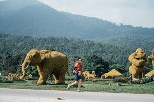 BIB: 
                            <button type="button" onclick="openModal(25894196)" class="btn btn-primary btn-sm float-right btn-popup" data-toggle="modal" data-target=".modal-high-quality">
                        <i class="fas fa-shopping-cart"></i> Add to Cart
                    </button>
                                            <button type="button" onclick="isThisMe(25894196, true)" class="btn btn-success btn-sm float-right btn-popup btn-isme hidden" data-toggle="tooltip" data-placement="bottom" title="นี่คือรูปของคุณใช่ไหม คลิกที่นี่เพื่อเอาเข้าอัลบั้ม">
                        <i class="fas fa-plus"></i> Add to album
                    </button>
                    <button type="button" onclick="isThisMe(25894196, false)" class="btn btn-warning btn-sm float-right btn-popup btn-isnotme hidden">
                        <i class="fas fa-ban"></i> Remove from album
                    </button>