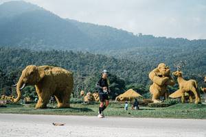 BIB: 
                            <button type="button" onclick="openModal(25893623)" class="btn btn-primary btn-sm float-right btn-popup" data-toggle="modal" data-target=".modal-high-quality">
                        <i class="fas fa-shopping-cart"></i> Add to Cart
                    </button>
                                            <button type="button" onclick="isThisMe(25893623, true)" class="btn btn-success btn-sm float-right btn-popup btn-isme hidden" data-toggle="tooltip" data-placement="bottom" title="นี่คือรูปของคุณใช่ไหม คลิกที่นี่เพื่อเอาเข้าอัลบั้ม">
                        <i class="fas fa-plus"></i> Add to album
                    </button>
                    <button type="button" onclick="isThisMe(25893623, false)" class="btn btn-warning btn-sm float-right btn-popup btn-isnotme hidden">
                        <i class="fas fa-ban"></i> Remove from album
                    </button>