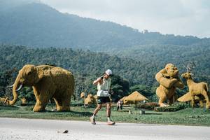 BIB: 
                            <button type="button" onclick="openModal(25899156)" class="btn btn-primary btn-sm float-right btn-popup" data-toggle="modal" data-target=".modal-high-quality">
                        <i class="fas fa-shopping-cart"></i> Add to Cart
                    </button>
                                            <button type="button" onclick="isThisMe(25899156, true)" class="btn btn-success btn-sm float-right btn-popup btn-isme hidden" data-toggle="tooltip" data-placement="bottom" title="นี่คือรูปของคุณใช่ไหม คลิกที่นี่เพื่อเอาเข้าอัลบั้ม">
                        <i class="fas fa-plus"></i> Add to album
                    </button>
                    <button type="button" onclick="isThisMe(25899156, false)" class="btn btn-warning btn-sm float-right btn-popup btn-isnotme hidden">
                        <i class="fas fa-ban"></i> Remove from album
                    </button>