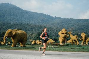 BIB: 
                            <button type="button" onclick="openModal(25870609)" class="btn btn-primary btn-sm float-right btn-popup" data-toggle="modal" data-target=".modal-high-quality">
                        <i class="fas fa-shopping-cart"></i> Add to Cart
                    </button>
                                            <button type="button" onclick="isThisMe(25870609, true)" class="btn btn-success btn-sm float-right btn-popup btn-isme hidden" data-toggle="tooltip" data-placement="bottom" title="นี่คือรูปของคุณใช่ไหม คลิกที่นี่เพื่อเอาเข้าอัลบั้ม">
                        <i class="fas fa-plus"></i> Add to album
                    </button>
                    <button type="button" onclick="isThisMe(25870609, false)" class="btn btn-warning btn-sm float-right btn-popup btn-isnotme hidden">
                        <i class="fas fa-ban"></i> Remove from album
                    </button>