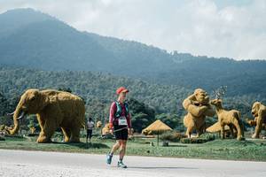 BIB: 
                            <button type="button" onclick="openModal(25953197)" class="btn btn-primary btn-sm float-right btn-popup" data-toggle="modal" data-target=".modal-high-quality">
                        <i class="fas fa-shopping-cart"></i> Add to Cart
                    </button>
                                            <button type="button" onclick="isThisMe(25953197, true)" class="btn btn-success btn-sm float-right btn-popup btn-isme hidden" data-toggle="tooltip" data-placement="bottom" title="นี่คือรูปของคุณใช่ไหม คลิกที่นี่เพื่อเอาเข้าอัลบั้ม">
                        <i class="fas fa-plus"></i> Add to album
                    </button>
                    <button type="button" onclick="isThisMe(25953197, false)" class="btn btn-warning btn-sm float-right btn-popup btn-isnotme hidden">
                        <i class="fas fa-ban"></i> Remove from album
                    </button>