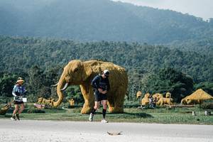 BIB: 
                            <button type="button" onclick="openModal(25888868)" class="btn btn-primary btn-sm float-right btn-popup" data-toggle="modal" data-target=".modal-high-quality">
                        <i class="fas fa-shopping-cart"></i> Add to Cart
                    </button>
                                            <button type="button" onclick="isThisMe(25888868, true)" class="btn btn-success btn-sm float-right btn-popup btn-isme hidden" data-toggle="tooltip" data-placement="bottom" title="นี่คือรูปของคุณใช่ไหม คลิกที่นี่เพื่อเอาเข้าอัลบั้ม">
                        <i class="fas fa-plus"></i> Add to album
                    </button>
                    <button type="button" onclick="isThisMe(25888868, false)" class="btn btn-warning btn-sm float-right btn-popup btn-isnotme hidden">
                        <i class="fas fa-ban"></i> Remove from album
                    </button>