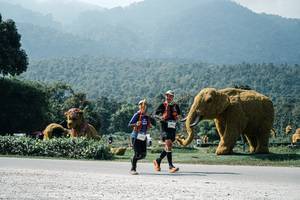 BIB: 
                            <button type="button" onclick="openModal(25967588)" class="btn btn-primary btn-sm float-right btn-popup" data-toggle="modal" data-target=".modal-high-quality">
                        <i class="fas fa-shopping-cart"></i> Add to Cart
                    </button>
                                            <button type="button" onclick="isThisMe(25967588, true)" class="btn btn-success btn-sm float-right btn-popup btn-isme hidden" data-toggle="tooltip" data-placement="bottom" title="นี่คือรูปของคุณใช่ไหม คลิกที่นี่เพื่อเอาเข้าอัลบั้ม">
                        <i class="fas fa-plus"></i> Add to album
                    </button>
                    <button type="button" onclick="isThisMe(25967588, false)" class="btn btn-warning btn-sm float-right btn-popup btn-isnotme hidden">
                        <i class="fas fa-ban"></i> Remove from album
                    </button>