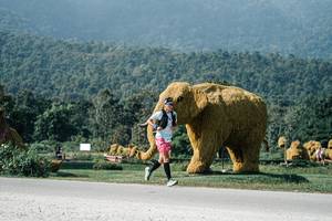 BIB: 
                            <button type="button" onclick="openModal(25886986)" class="btn btn-primary btn-sm float-right btn-popup" data-toggle="modal" data-target=".modal-high-quality">
                        <i class="fas fa-shopping-cart"></i> Add to Cart
                    </button>
                                            <button type="button" onclick="isThisMe(25886986, true)" class="btn btn-success btn-sm float-right btn-popup btn-isme hidden" data-toggle="tooltip" data-placement="bottom" title="นี่คือรูปของคุณใช่ไหม คลิกที่นี่เพื่อเอาเข้าอัลบั้ม">
                        <i class="fas fa-plus"></i> Add to album
                    </button>
                    <button type="button" onclick="isThisMe(25886986, false)" class="btn btn-warning btn-sm float-right btn-popup btn-isnotme hidden">
                        <i class="fas fa-ban"></i> Remove from album
                    </button>