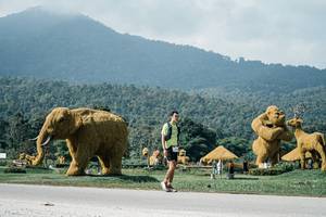 BIB: 
                            <button type="button" onclick="openModal(25919733)" class="btn btn-primary btn-sm float-right btn-popup" data-toggle="modal" data-target=".modal-high-quality">
                        <i class="fas fa-shopping-cart"></i> Add to Cart
                    </button>
                                            <button type="button" onclick="isThisMe(25919733, true)" class="btn btn-success btn-sm float-right btn-popup btn-isme hidden" data-toggle="tooltip" data-placement="bottom" title="นี่คือรูปของคุณใช่ไหม คลิกที่นี่เพื่อเอาเข้าอัลบั้ม">
                        <i class="fas fa-plus"></i> Add to album
                    </button>
                    <button type="button" onclick="isThisMe(25919733, false)" class="btn btn-warning btn-sm float-right btn-popup btn-isnotme hidden">
                        <i class="fas fa-ban"></i> Remove from album
                    </button>