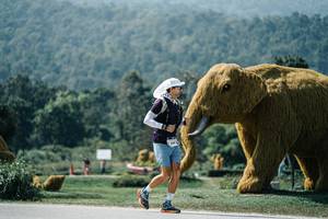 BIB: 
                            <button type="button" onclick="openModal(25971830)" class="btn btn-primary btn-sm float-right btn-popup" data-toggle="modal" data-target=".modal-high-quality">
                        <i class="fas fa-shopping-cart"></i> Add to Cart
                    </button>
                                            <button type="button" onclick="isThisMe(25971830, true)" class="btn btn-success btn-sm float-right btn-popup btn-isme hidden" data-toggle="tooltip" data-placement="bottom" title="นี่คือรูปของคุณใช่ไหม คลิกที่นี่เพื่อเอาเข้าอัลบั้ม">
                        <i class="fas fa-plus"></i> Add to album
                    </button>
                    <button type="button" onclick="isThisMe(25971830, false)" class="btn btn-warning btn-sm float-right btn-popup btn-isnotme hidden">
                        <i class="fas fa-ban"></i> Remove from album
                    </button>