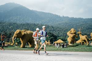 BIB: 
                            <button type="button" onclick="openModal(25878160)" class="btn btn-primary btn-sm float-right btn-popup" data-toggle="modal" data-target=".modal-high-quality">
                        <i class="fas fa-shopping-cart"></i> Add to Cart
                    </button>
                                            <button type="button" onclick="isThisMe(25878160, true)" class="btn btn-success btn-sm float-right btn-popup btn-isme hidden" data-toggle="tooltip" data-placement="bottom" title="นี่คือรูปของคุณใช่ไหม คลิกที่นี่เพื่อเอาเข้าอัลบั้ม">
                        <i class="fas fa-plus"></i> Add to album
                    </button>
                    <button type="button" onclick="isThisMe(25878160, false)" class="btn btn-warning btn-sm float-right btn-popup btn-isnotme hidden">
                        <i class="fas fa-ban"></i> Remove from album
                    </button>