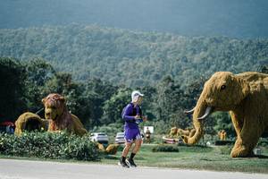 BIB: 
                            <button type="button" onclick="openModal(25935034)" class="btn btn-primary btn-sm float-right btn-popup" data-toggle="modal" data-target=".modal-high-quality">
                        <i class="fas fa-shopping-cart"></i> Add to Cart
                    </button>
                                            <button type="button" onclick="isThisMe(25935034, true)" class="btn btn-success btn-sm float-right btn-popup btn-isme hidden" data-toggle="tooltip" data-placement="bottom" title="นี่คือรูปของคุณใช่ไหม คลิกที่นี่เพื่อเอาเข้าอัลบั้ม">
                        <i class="fas fa-plus"></i> Add to album
                    </button>
                    <button type="button" onclick="isThisMe(25935034, false)" class="btn btn-warning btn-sm float-right btn-popup btn-isnotme hidden">
                        <i class="fas fa-ban"></i> Remove from album
                    </button>