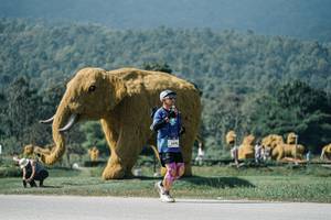 BIB: 
                            <button type="button" onclick="openModal(25923440)" class="btn btn-primary btn-sm float-right btn-popup" data-toggle="modal" data-target=".modal-high-quality">
                        <i class="fas fa-shopping-cart"></i> Add to Cart
                    </button>
                                            <button type="button" onclick="isThisMe(25923440, true)" class="btn btn-success btn-sm float-right btn-popup btn-isme hidden" data-toggle="tooltip" data-placement="bottom" title="นี่คือรูปของคุณใช่ไหม คลิกที่นี่เพื่อเอาเข้าอัลบั้ม">
                        <i class="fas fa-plus"></i> Add to album
                    </button>
                    <button type="button" onclick="isThisMe(25923440, false)" class="btn btn-warning btn-sm float-right btn-popup btn-isnotme hidden">
                        <i class="fas fa-ban"></i> Remove from album
                    </button>