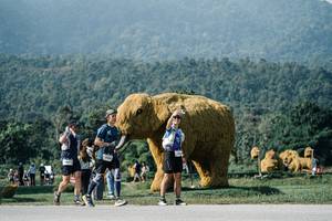 BIB: 
                            <button type="button" onclick="openModal(25881798)" class="btn btn-primary btn-sm float-right btn-popup" data-toggle="modal" data-target=".modal-high-quality">
                        <i class="fas fa-shopping-cart"></i> Add to Cart
                    </button>
                                            <button type="button" onclick="isThisMe(25881798, true)" class="btn btn-success btn-sm float-right btn-popup btn-isme hidden" data-toggle="tooltip" data-placement="bottom" title="นี่คือรูปของคุณใช่ไหม คลิกที่นี่เพื่อเอาเข้าอัลบั้ม">
                        <i class="fas fa-plus"></i> Add to album
                    </button>
                    <button type="button" onclick="isThisMe(25881798, false)" class="btn btn-warning btn-sm float-right btn-popup btn-isnotme hidden">
                        <i class="fas fa-ban"></i> Remove from album
                    </button>